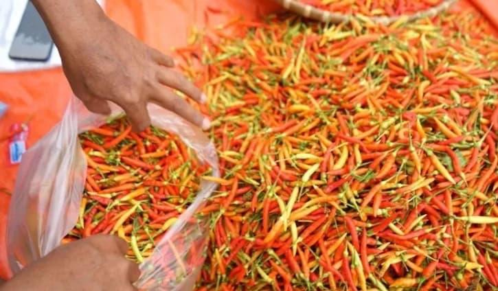 PIHPS Catat Harga Cabai Rawit Tembus Rp55.800 per Kilogram, Telur Ayam Rp29.650