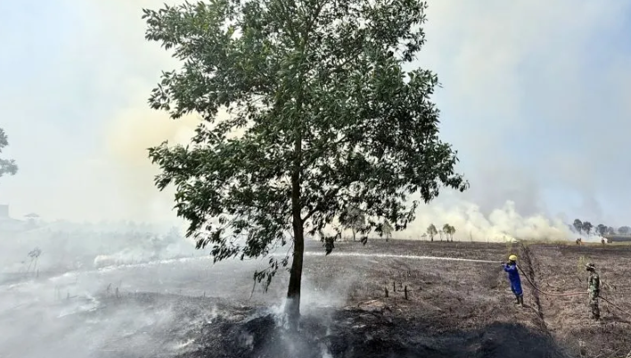 BPBD Kalsel Terapkan SOP Baru untuk Percepat Penanganan Kebakaran Hutan dan Lahan