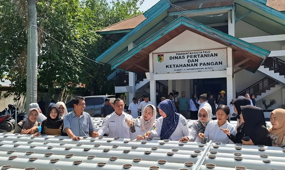Pemkot Palu Kembangkan Budidaya Hidroganik untuk Optimalkan Lahan Terbatas di Perkotaan