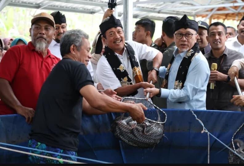 Sinergi KDMP dan MBG Mulai Beri Kepastian Pasar bagi Hasil Budi Daya Masyarakat