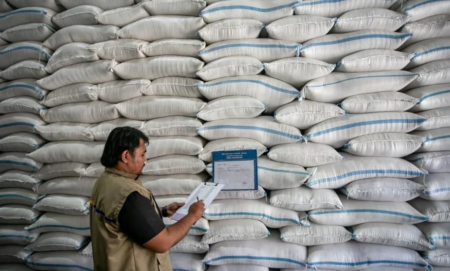 BPS Memproyeksikan Produksi Beras Januari–September 2026 Mencapai 28,71 Juta Ton