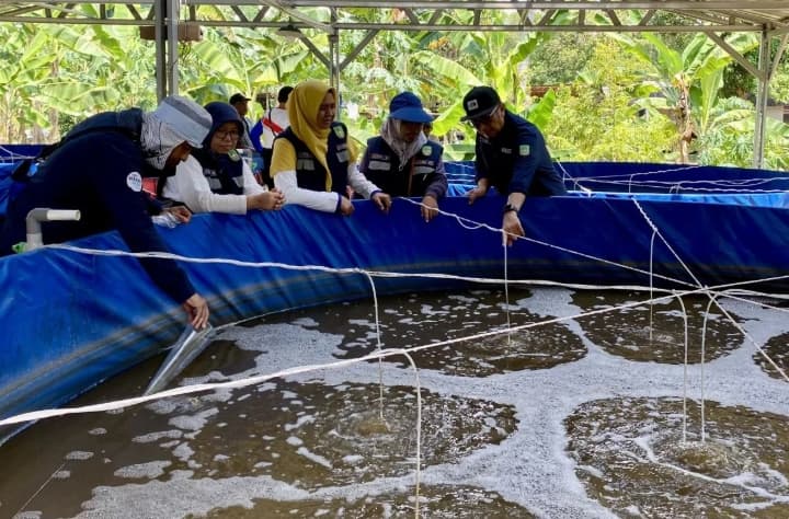 KKP Kembangkan Budi Daya Ikan Tematik untuk Perkuat Pasokan Protein Program MBG