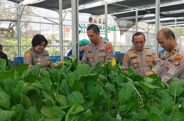 Polda Metro Jaya Panen 82 Kilogram Pakcoy untuk Dukung Program Makan Bergizi Gratis
