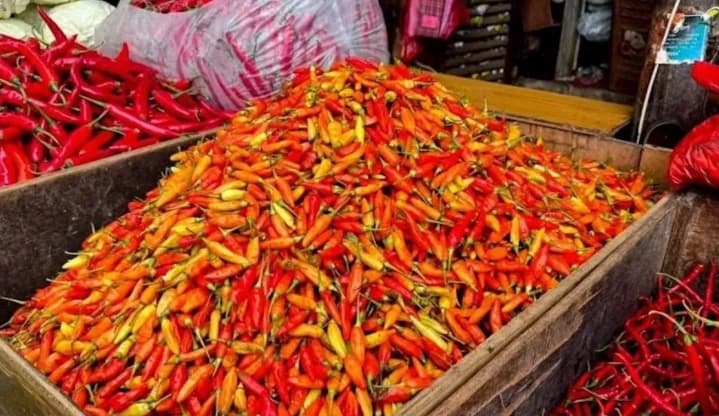 Harga Cabai Rawit Tembus Rp61.450 per Kg, Telur Ayam Rp31.800 Menurut PIHPS