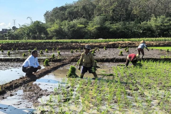 Mentan Amran Serahkan Traktor kepada Petani Saat Tinjau Persawahan di Semarang