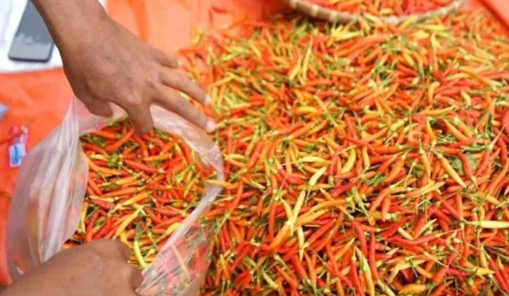 PIHPS Mencatat Harga Cabai Rawit Merah Tembus Rp59.650 per Kilogram, Telur Ayam Rp29.450