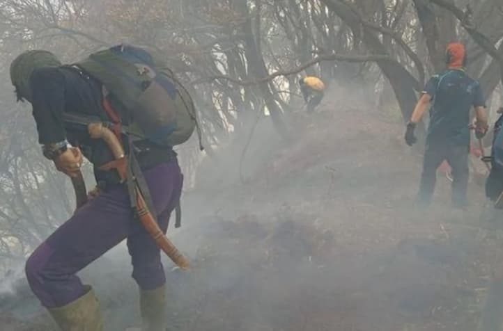 Kemenhut Padamkan Kebakaran Gunung Gede Pangrango, Seluruh Jalur Pendakian Ditutup hingga 11 Agustus