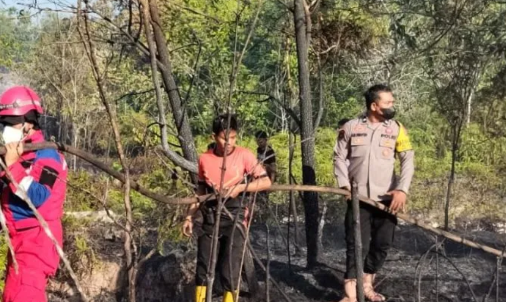 Tim Gabungan Memadamkan 17 Karhutla di Penajam Paser Utara, Hampir 10 Hektare Lahan Terbakar