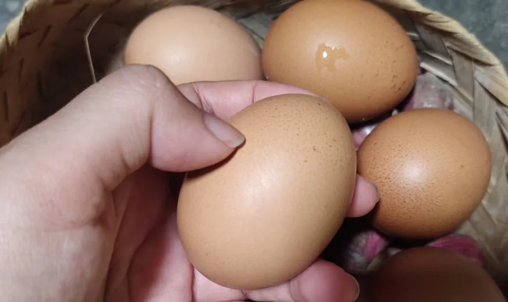 Telur Retak Masih Bisa Dimakan, Ahli Ungkap Kondisi yang Aman dan Risiko Kontaminasi Bakteri