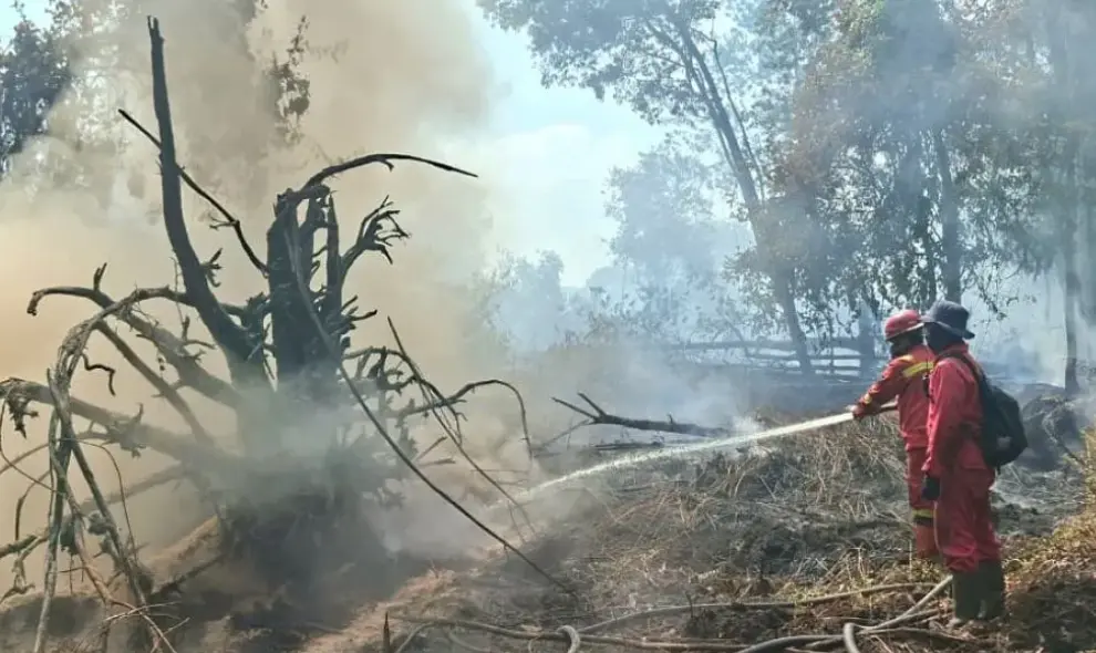 Manggala Agni Membangun 19 Embung untuk Tangani Karhutla 64 Hektare di Pelalawan