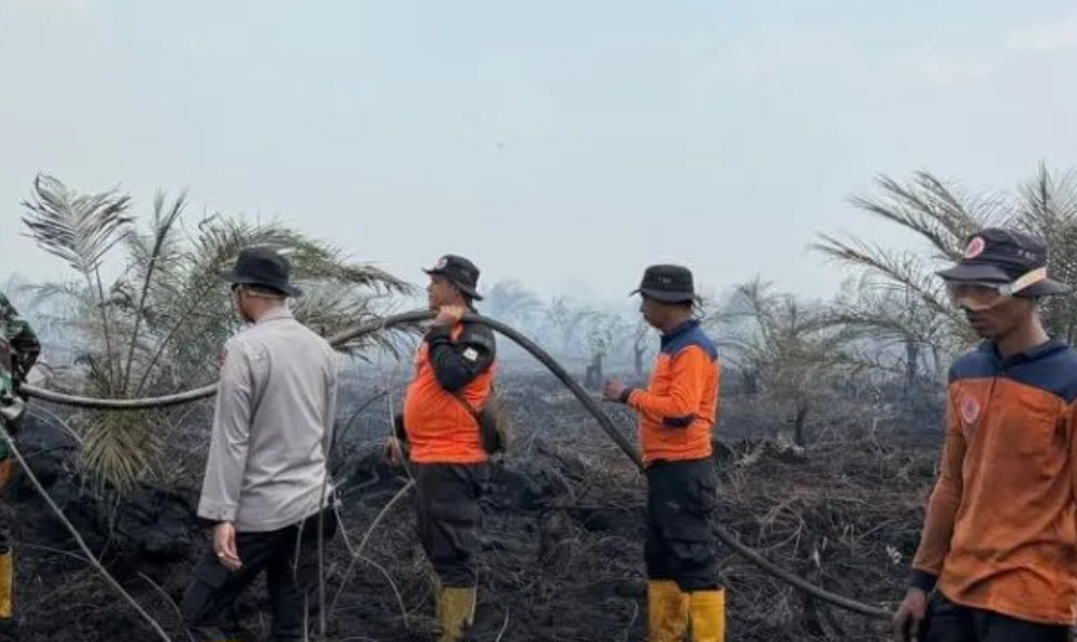 Satgas Jambi Kerahkan 300 Personel dan Tiga Helikopter Padamkan Karhutla 50 Hektare di Sungai Gelam