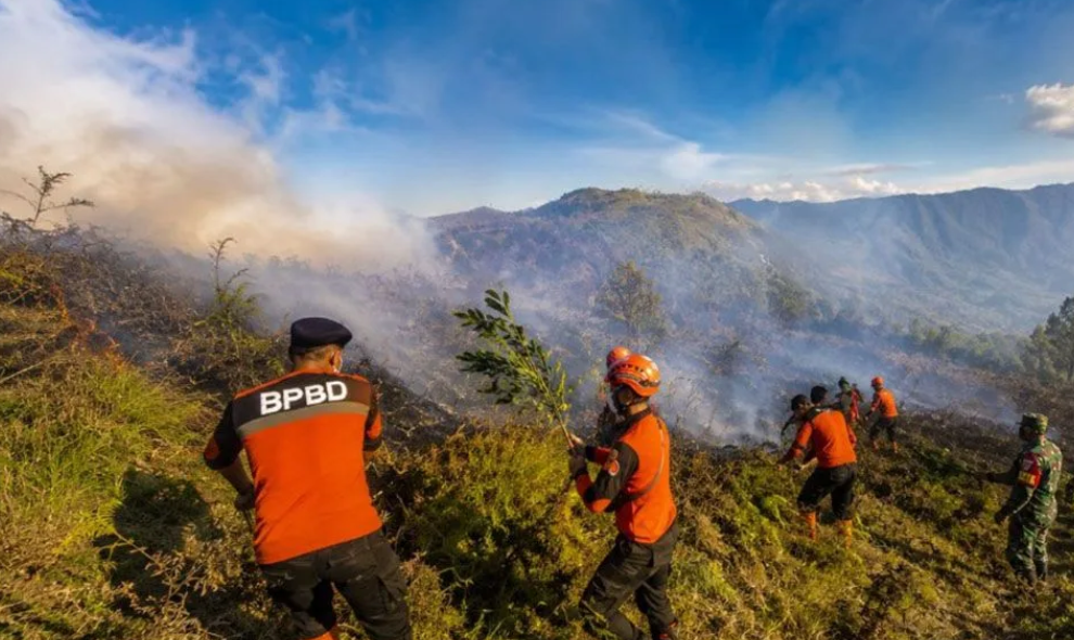 BPBD Lumajang Kerahkan Tim Reaksi Cepat Tangani Karhutla di Kawasan Wisata Bromo