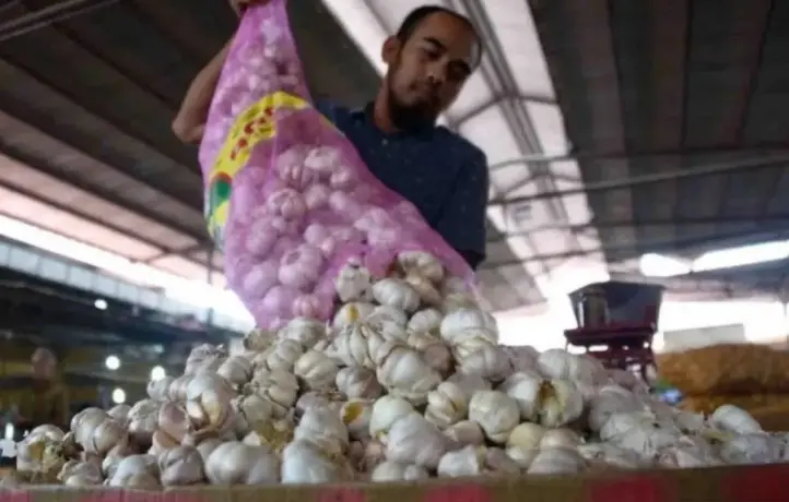 BPS Catat Harga Bawang Putih Mulai Turun, Pasokan Nasional Dinilai Memadai