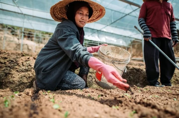 Beanstalk AgTech Meluncurkan Monsoon Ventures untuk Memacu Teknologi Pertanian di Asia Tenggara