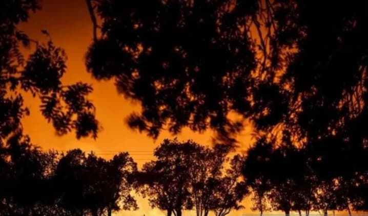 Kebakaran Hutan Meluas di Spanyol, Lebih dari 1.000 Warga Terpaksa Mengungsi