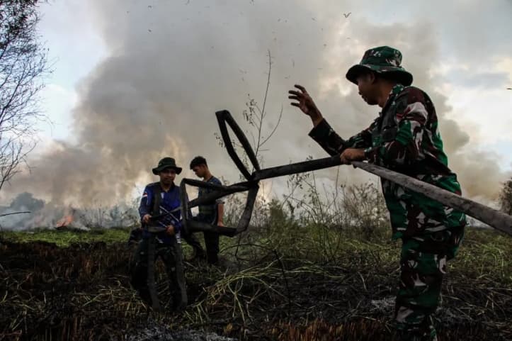 Kebakaran Tiga Hektare Lahan Gunung Picung Cianjur Berhasil Dipadamkan