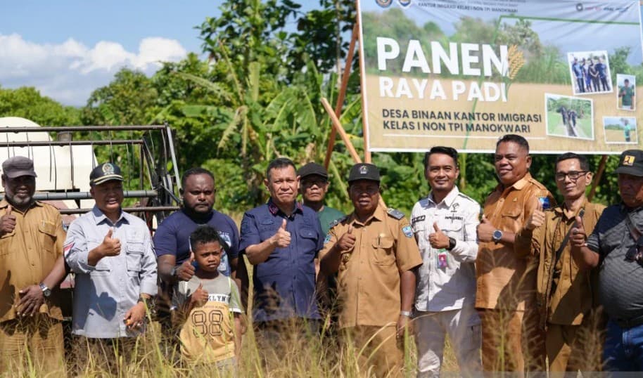 Desa Binaan Imigrasi Papua Barat Panen Padi Perdana, Hasilnya Diperkirakan Tembus 5 Ton