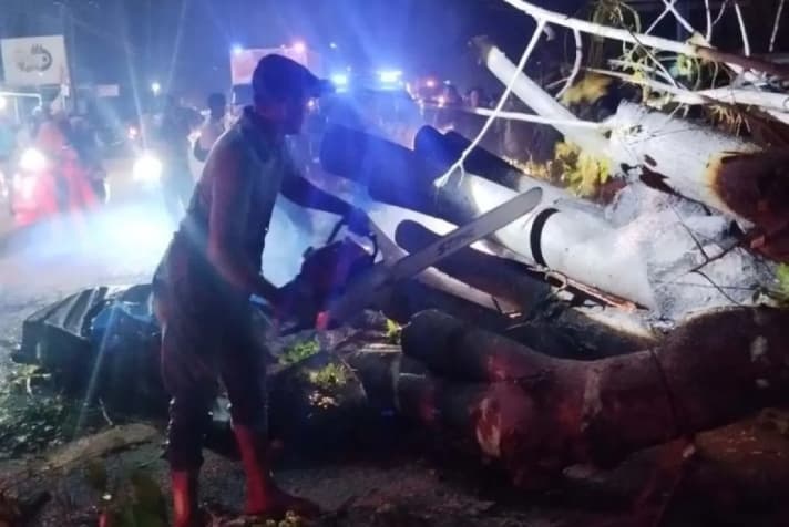 Pohon Kedondong Tumbang Menimpa Mobil di Pidie, Tujuh Warga Meninggal Dunia
