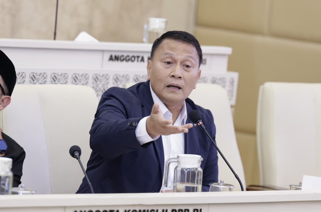 Wacana Pilkada Tanpa Wakil Mencuat, Mardani Ali Sera Dorong Perbaikan Pembagian Tugas Kepala Daerah