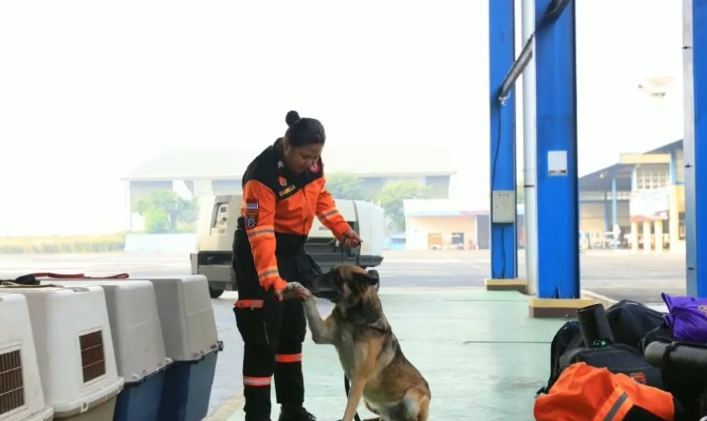 Polri Kerahkan Tim SAR dan 10 Anjing K-9 untuk Mencari Korban Gempa NTT