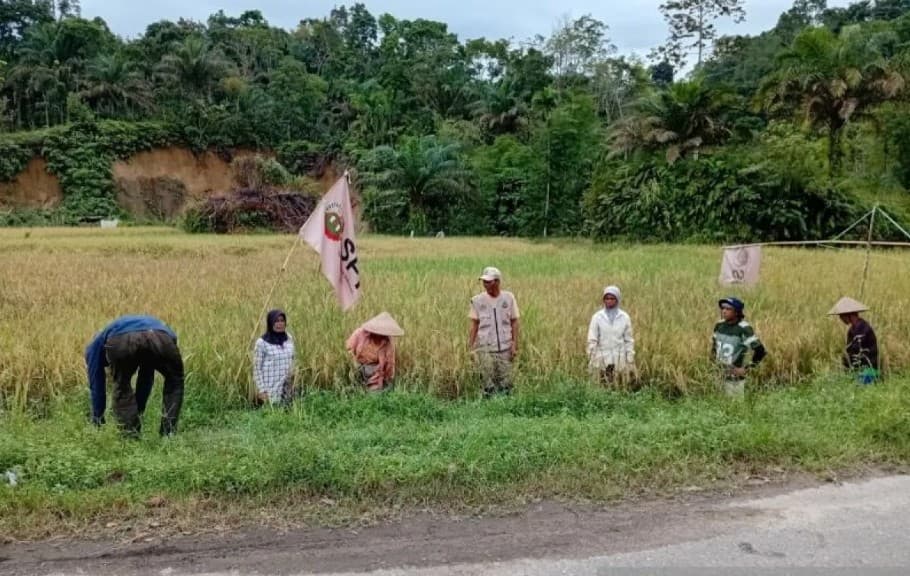 Petani SPI Sakayan Jauah Terapkan Agroekologi untuk Wujudkan Kedaulatan Pangan di Anduriang