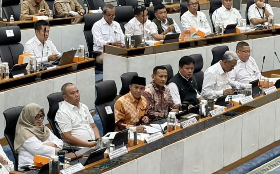 Kementerian Kehutanan Tindak 42 PBPH Terkait Karhutla, Empat Kasus Sudah Tetapkan Tersangka