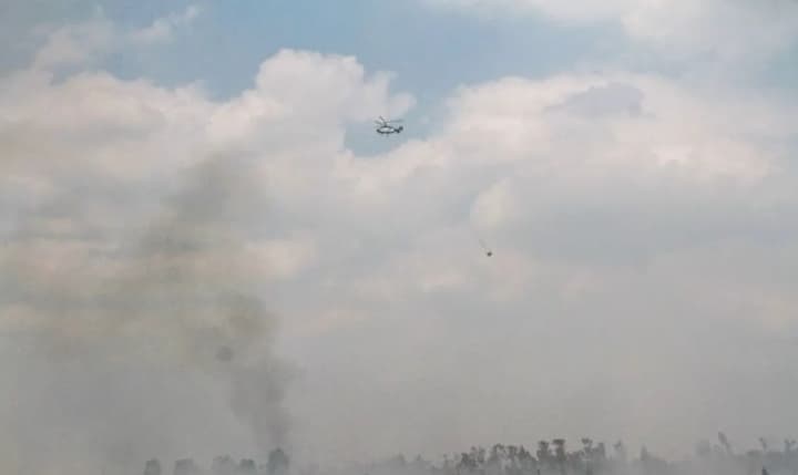 Menhut Sebut Dukungan BNPB Perkuat Penanganan Karhutla di Tengah El Nino