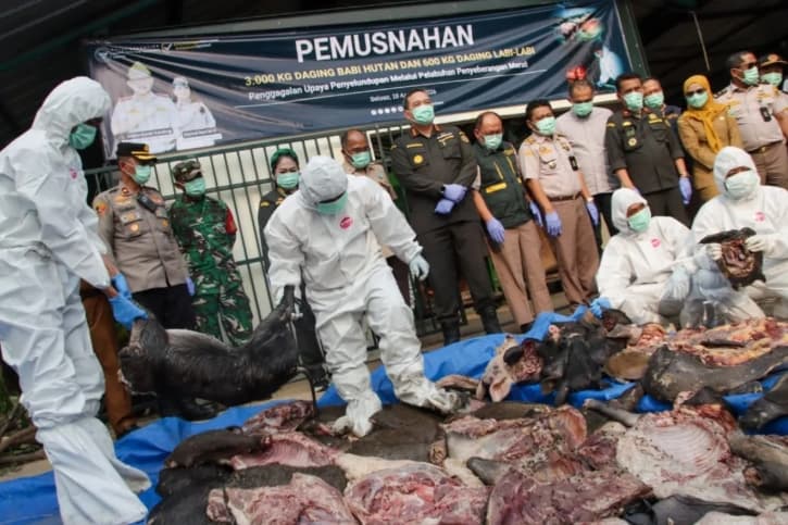 Barantin Gagalkan Pengiriman 3,6 Ton Daging Ilegal dari Jambi Menuju Semarang