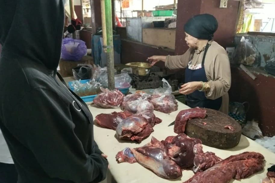 Pasokan Sapi Mataram Dipastikan Aman, Pemotongan Diprediksi Melonjak saat Puncak Maulid Nabi