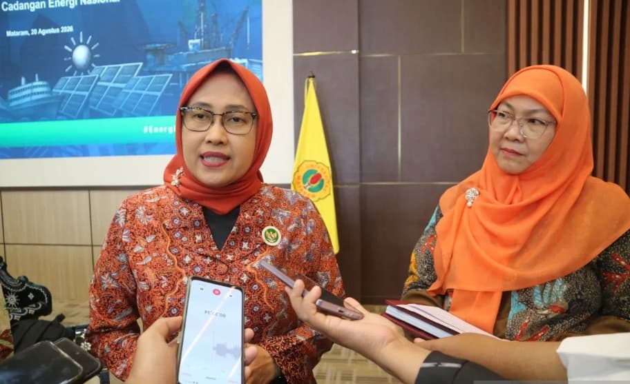 DEN Mendorong Energi Laut Segera Masuk Tahap Implementasi, Investor Dibidik untuk Garap Potensi Indonesia