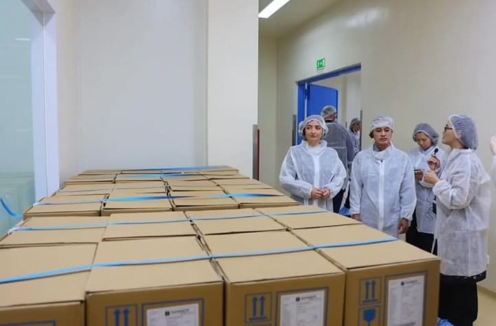 Indonesia Menggandeng Jerman Produksi MMS untuk Ibu Hamil demi Menekan Stunting