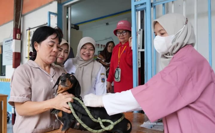 Sudin KPKP Jakarta Timur Vaksinasi 1.600 Hewan untuk Pertahankan Jakarta Bebas Rabies