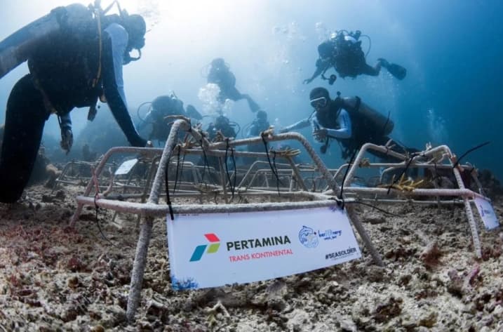 Pertamina Tanam 512 Fragmen Terumbu Karang untuk Jaga Ekosistem Laut Sulawesi Utara