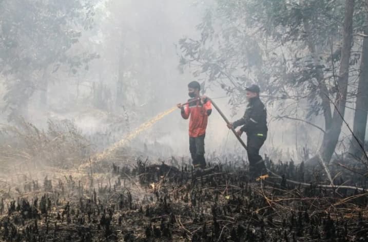BNPB Mendeteksi 1.487 Titik Panas di Kalimantan, Kabut Asap Mulai Ganggu Penerbangan