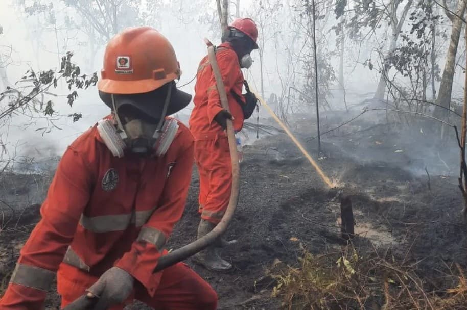 KLH Instruksikan Enam Gubernur Perketat Penanganan Karhutla saat Kualitas Udara Memburuk