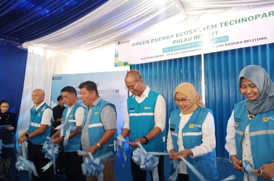 DEN Apresiasi PLN Bangun Ekosistem Energi Hijau, Pulau Rengit Kini Nikmati Listrik 24 Jam