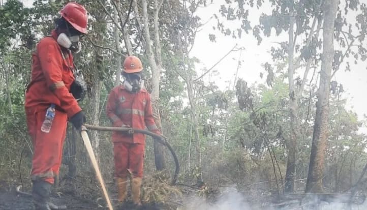 Pemerintah Jadikan Operasi Darat Ujung Tombak Penanganan Karhutla di Enam Provinsi