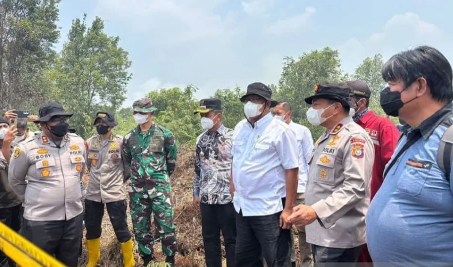 85 Ribu Hektare Konsesi Perusahaan Terbakar, Pemerintah Verifikasi 335 Perusahaan Pemilik Konsesi