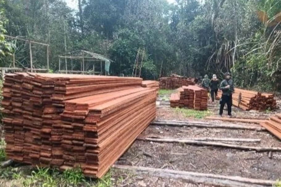 Kemenhut Tetapkan Enam Tersangka Pembalakan Liar di SM Kerumutan, Pelaku Lain Masih Diburu