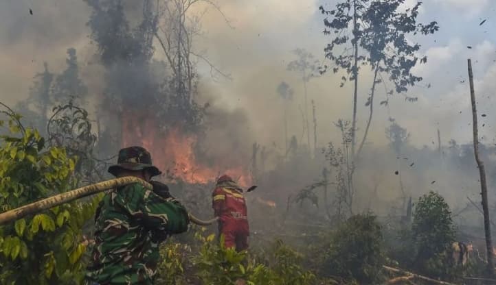 BNPB Meminta Masyarakat Segera Melapor jika Menemukan Titik Api Karhutla