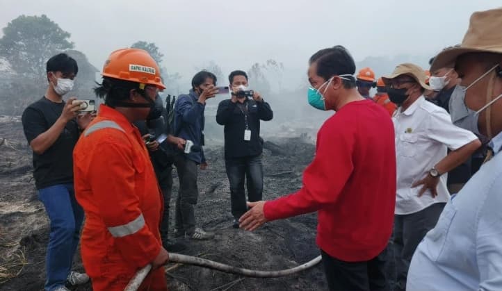 Wamenko Pangan Tinjau Karhutla Kalteng dan Dorong Semua Pihak Turun Tangani Kebakaran