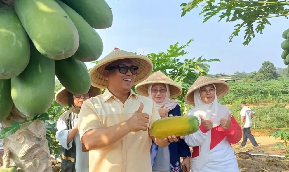 Panen Raya Bintan Perkuat Ketahanan Pangan, Petani Sampaikan Kendala Pengairan hingga Pasar