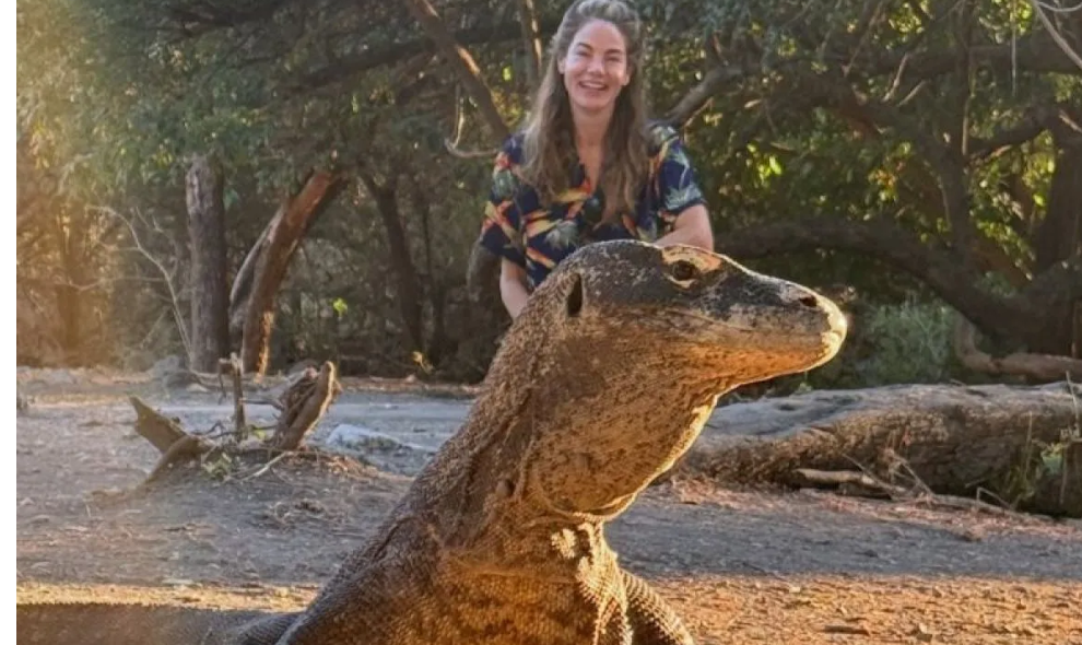 Michelle Monaghan Kembali ke Indonesia demi Melihat Komodo setelah Disarankan Robert De Niro