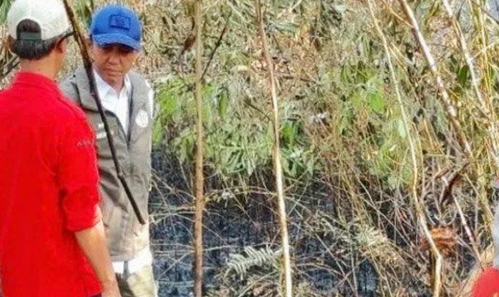 Menhut Memastikan Pembasahan Gambut di Kalsel Berlanjut untuk Cegah Karhutla Kembali Menyala