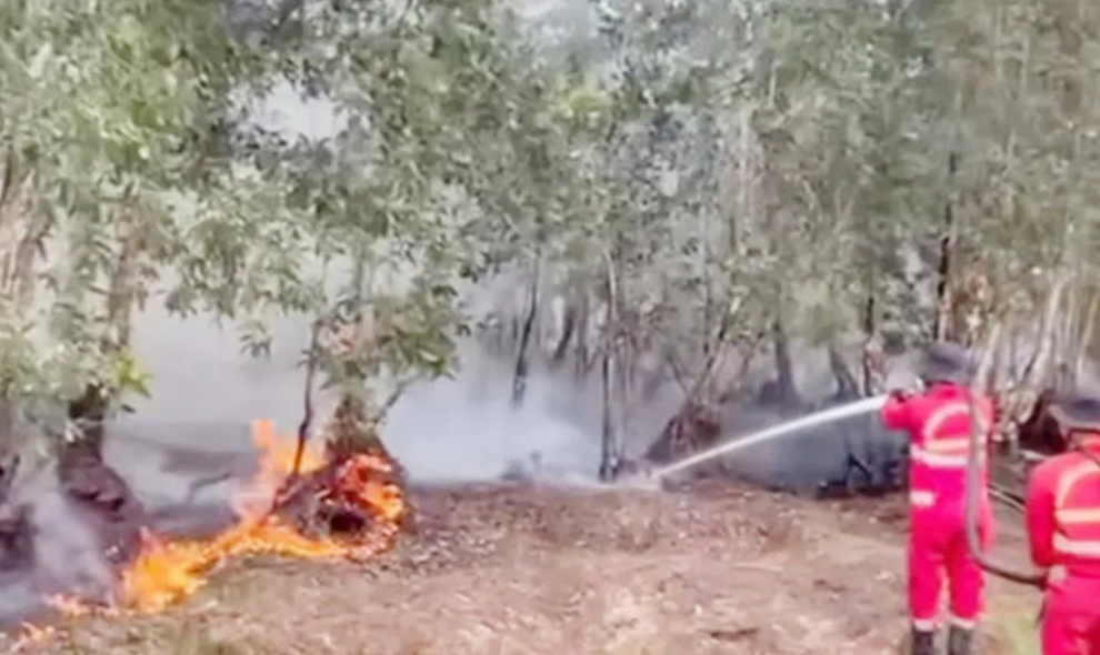 Menhut Raja Juli Perkuat Operasi Pemadaman Karhutla di Kalsel dengan Tambahan Helikopter