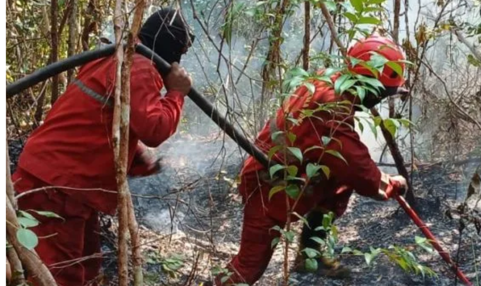 Manggala Agni Berjibaku Memadamkan Karhutla di 17 Desa Tiga Provinsi Sumatra