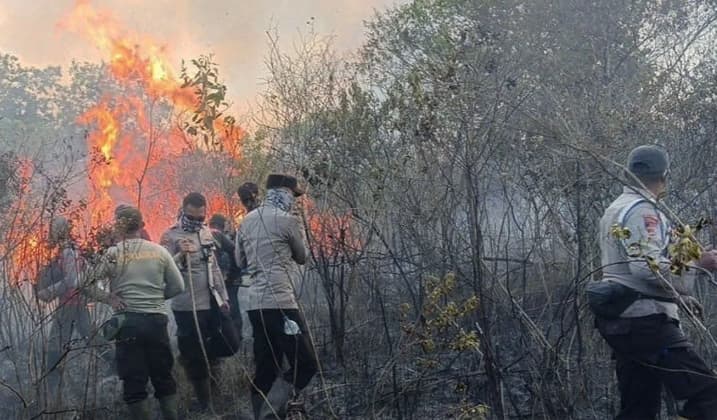 Prabowo Meminta Way Kambas Jadi Fokus Penanganan Karhutla setelah Titik Panas Terdeteksi
