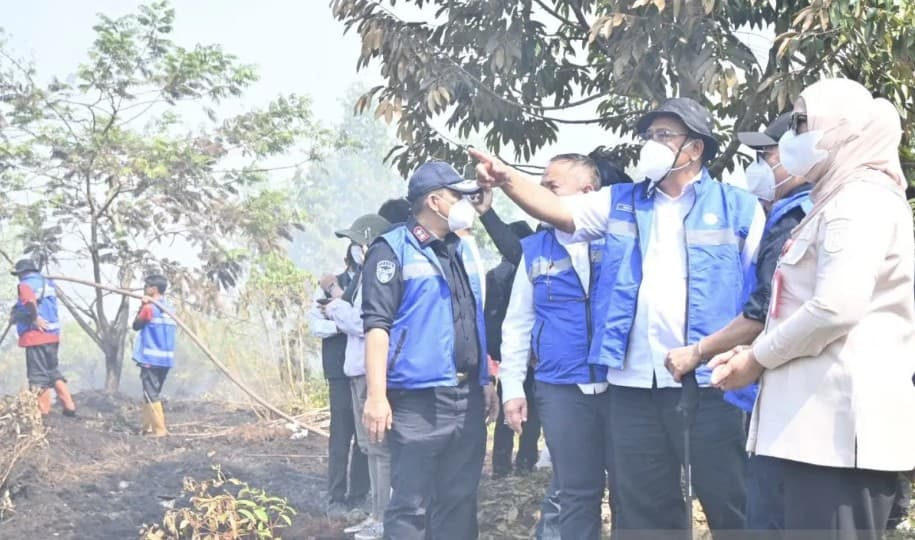 Menteri LH Tegaskan Pembakaran Lahan Tak Ditoleransi, Sekitar 72 Orang Jadi Tersangka Karhutla