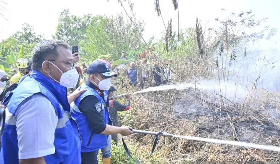 KLH Selidiki 11 Perusahaan di Kalsel yang Terindikasi Terkait Karhutla