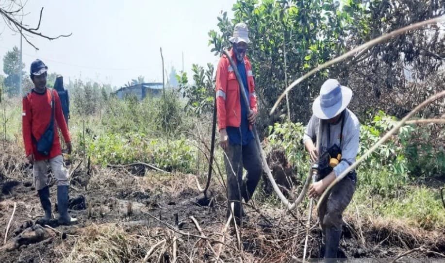 Kemenhut Basahi Gambut di Ring 1 Bandara Syamsudin Noor untuk Padamkan Bara Karhutla